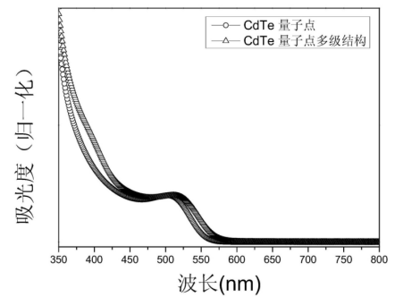 CLV3十二肽修饰近红外二区碲化镉CdTe量子点的制备方法