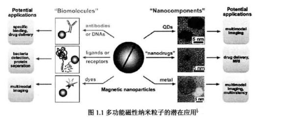 亲水性Fe304磁性/ZnS量子点复合微球的制备方法