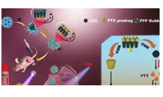 ICG-PEG5-NH2吲哚菁绿-五聚乙二醇-氨基的基本资料及外观状态