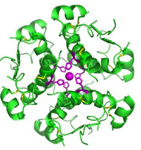 荧光染料ICG-Insulin 吲哚菁绿标记胰岛素性状介绍