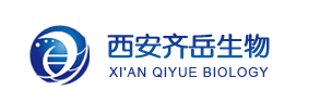 MOF金属框架|一种由紫罗兰源衍生的主客体MOF材料:光致变色、光开关发光、无墨可擦除印刷