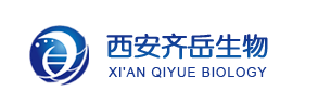 光电材料|基于矩阵逆变换的单线阵ccd光电探测系统结构参数标定方法