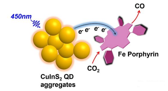 CuInS2/ZnS量子点（QD）-三甲基氨基四苯基卟啉铁（FeTMA）光催化剂