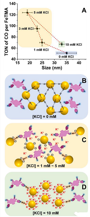 1645437438692427.png CuInS2/ZnS量子点(QD)-三甲基氨基四苯基卟啉铁(FeTMA)光催化剂