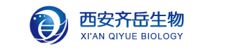1645763785504484.png BDP 576/589 tetrazine|bodipy染料的合成与光学性质|