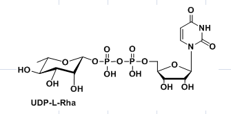 UDP糖| cas：1955-26-6，尿苷二磷酸鼠李糖, UDP-L-Rhamnose, UDP鼠李糖，UDP-beta-L-rhamnose