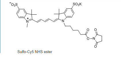 CAS:2230212-27-6 ；Sulfo-Cyhaiine 5 NHS ester ；Sulfo CY5-NHS; 水溶性磺化Cy5 NHS活化酯(N-羟基琥珀酰亚胺酯）