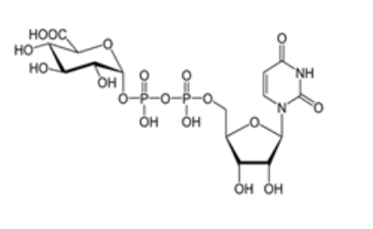 UDP-葡糖醛酸|CAS:2616-64-0|UDP-葡萄糖醛酸（UDP-GlcA）