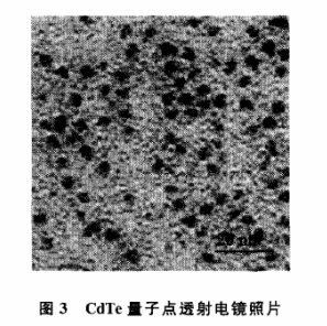 巯基琥珀酸修饰CdTe碲化镉量子点(MSA/CdTe QDs)的描述及应用说明|供应