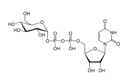 UDP糖|UDP-葡萄糖（UDP-Glc）一种核苷酸糖
