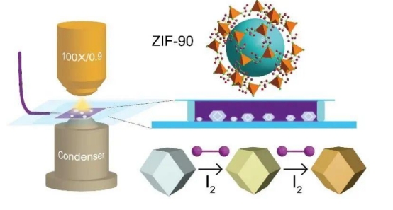 MOF:ZIF-90沸石咪唑酯骨架结构材料cas:1062147-37-8载药性研究