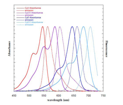 Cy3,Cy5和Cy7菁染料的激发波长光谱图