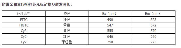 链霉亲和素(SA)的介绍及各荧光染料的激发波长