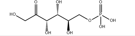 D-果糖-6-磷酸,CAS:643-13-0  果糖6-磷酸（fructose 6-phosphate）