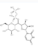1650857030385565.png UDP-葡萄糖|cas:133-89-1 ||Uridine diphosphate glucose的用途以及相关产品