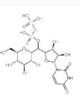 UDP-葡萄糖|cas:133-89-1 ||Uridine diphosphate glucose的用途以及相关产品