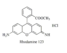 罗丹明(RBITC) 罗丹明RBITC标记人转铁蛋白(TF-RBITC) RBITC-Trhaisferrin 罗丹明(RBITC)修饰人转铁蛋白;Trhaisferrin-RBITC;RBITC标记人转铁蛋白