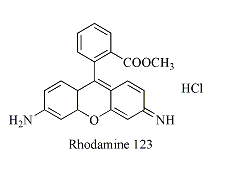 罗丹明RBITC标记人转铁蛋白(TF-RBITC)  RBITC-Trhaisferrin  罗丹明（RBITC）修饰人转铁蛋白；Trhaisferrin-RBITC；RBITC标记人转铁蛋白