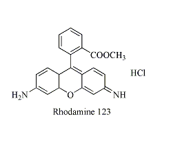 罗丹明RBITC标记人血清白蛋白(HSA-RBITC)    人血清白蛋白修饰荧光染料罗丹明