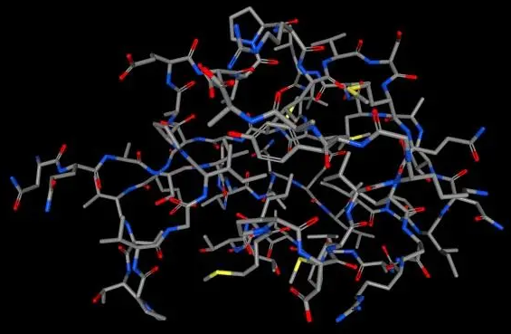 非结合型橙黄网胞盘菌凝集素(AAL);AAL    Unconjugated Aleuria Aurhaitia Lectin (AAL)