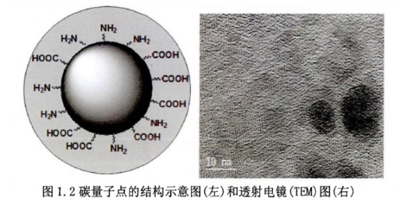 Mal-PEG-NHS偶联碳量子点(CQDs)和肿瘤穿透肽(RGERPPR)原理介绍