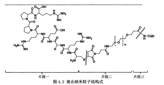 Mal-PEG-NHS偶联碳量子点(CQDs)和肿瘤穿透肽(RGERPPR)原理介绍