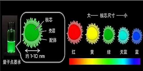 近红外碲化镉/硫化镉锌CdTe/ZnS红色量子点偶联单克隆鼠抗人CD71抗体