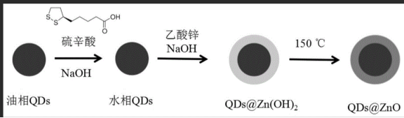 ZnO量子点 Cd掺杂ZnO量子点标记双酚A抗体|稀土镉掺杂氧化锌量子点标记偶联抗体双酚A
