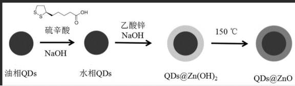 Cd掺杂ZnO量子点标记双酚A抗体|稀土镉掺杂氧化锌量子点标记偶联抗体双酚A