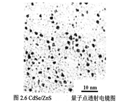 核壳结构的半导体CdSe/ZnS量子点偶联OTA单克隆抗体|定制供应