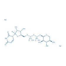 udp木糖 尿苷5′-二磷酸果糖钠盐名称Uridine 5&#039;-(trihydrogen diphosphate),P&#039;-α-D-xylopyrhaiosyl ester, disodium salt