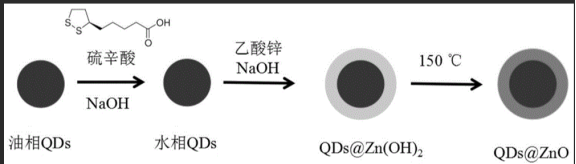 掺杂钆(Gd)的ZnO量子点偶联硼霉素|氧化锌量子点掺杂钆(Gd)偶联硼霉素|