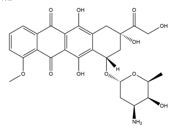 阿霉素偶联氧化锌ZnO量子点|提供抗肿瘤药物偶联近红外量子点的定制服务