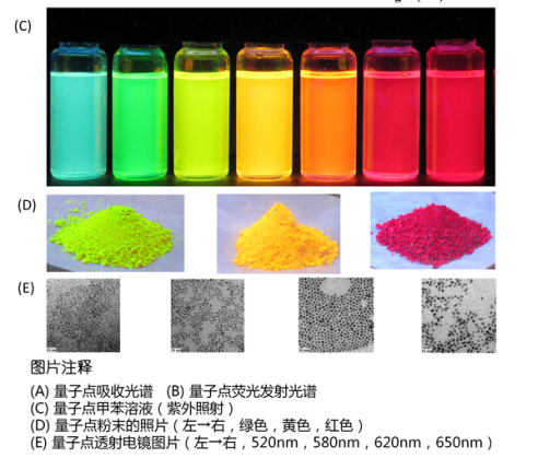 CdSe/ZnS量子点偶联环状精氨酸-甘氨酸-天冬氨酸-D-苯丙氨酸-赖氨酸[c(RGDfK)]肽段(QDRGD)