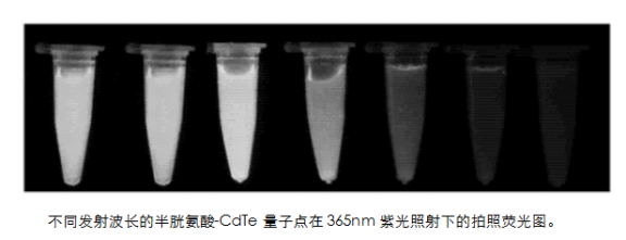 半胱氨酸修饰量子点(Cys-CdTeQDs)负载柔红霉素(DNR)的介绍