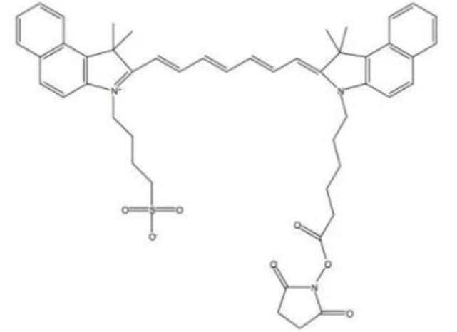 ICG isothiocyhaiate吲哚菁绿标记的异硫氰酸酯的储存条件