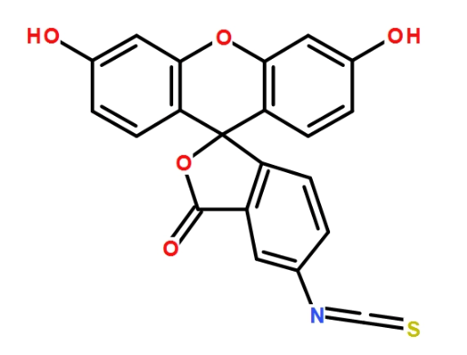 PLGA-SS-PEG-FITC/RB/CY/ICG 聚丙交酯乙交酯共聚物-双硫键-聚乙二醇-荧光染料的基本资料