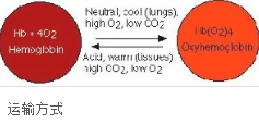 荧光标记ICG-oxyhemoglobin 吲哚菁绿ICG-氧合血红蛋白的介绍