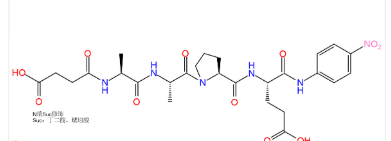 pNA修饰肽：Suc-AAPE-pNA,Suc-Ala-Ala-Pro-Glu-pNA,CAS号:108929-37-9