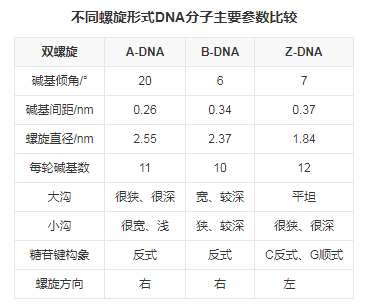 DNA修饰偶联定制服务|脱氧核糖核酸DNA修饰纳米羟基磷灰石,石墨烯基镍钯铂纳米复合材料,二维黑磷纳米片（）