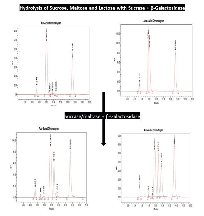 综合总膳食纤维检测试剂盒 Integrated Total Dietary Fiber Assay Kit 货号：K-INTDF  Megazyme试剂盒