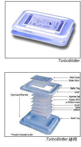 10416328-Whatman 沃特曼 TurboBlotter 快速核酸转印系统