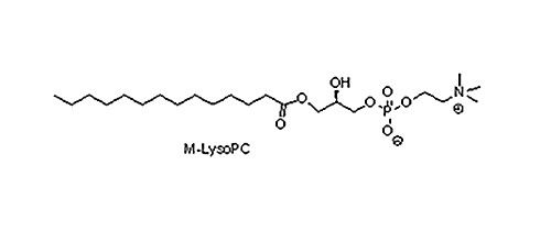 肉豆蔻酰溶血卵磷脂（ M-LysoPC）,20559-16-4
