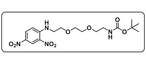 DNP-PEG2-NH-Boc