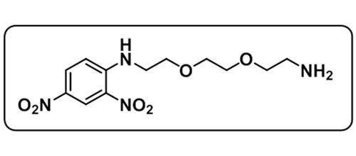 DNP-PEG2-NH2