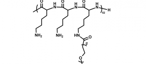 PLL(20)-g[3.5]-PEG(2)