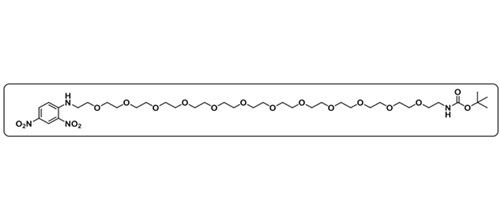 DNP-PEG12-NH-Boc