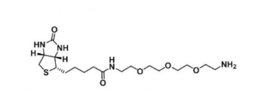 Biotin-PEG3-amine