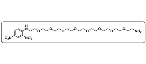 DNP-PEG8-NH2