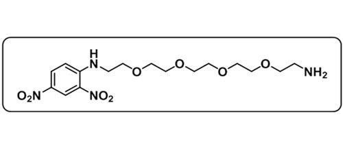 Amine-PEG4-DNP